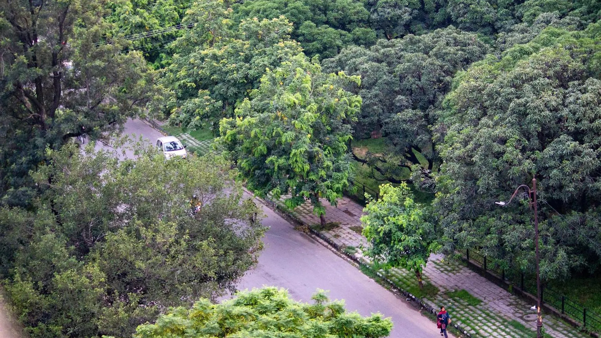 Mango Grove Hotel Chandīgarh 3*,  인도